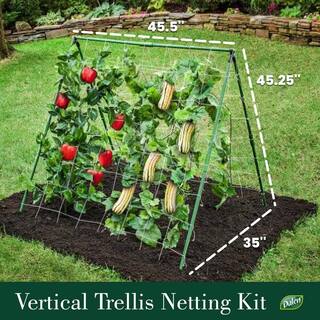 Dalen Vertical A-Frame Plant Support Trellis BTK-W