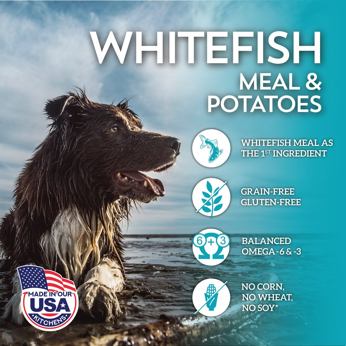 Wholesomes Grain-Free Whitefish Meal and Potatoes Formula Dry Dog Food