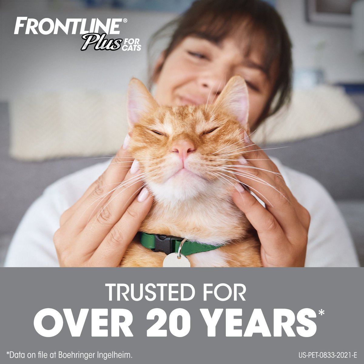 Frontline Plus Flea and Tick Spot Treatment for Cats， over 1.5 lbs