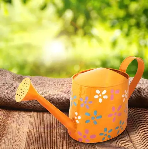 Fancy custom metal orange Watering can luxury made in india for outdoor and indoor plants flowers watering can Home Garden 2023