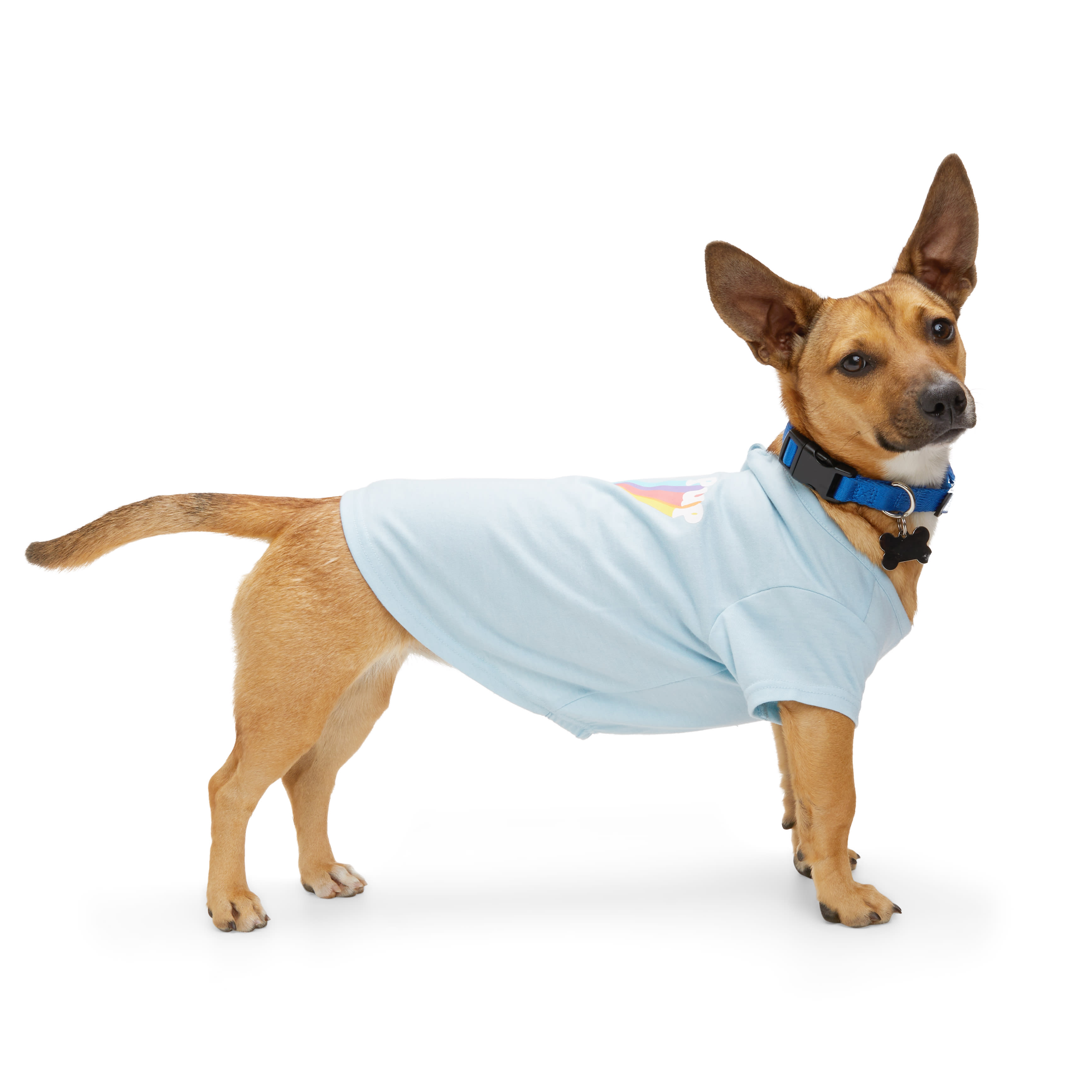 YOULY Pride Proud Pup Dog Tee， X-Small