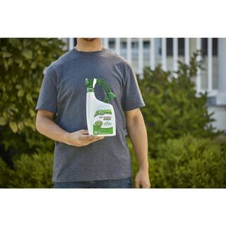 Scotts Turf Builder 32 fl. oz. Liquid Lawn Fertilizer for All Grass Types Feeds and Waters Lawn at Same Time 542040605