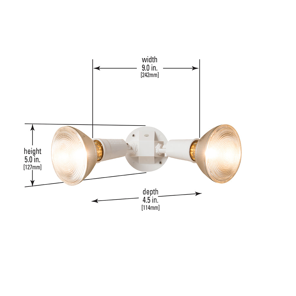 Cooper Lighting 2-Light Outdoor Spotlight