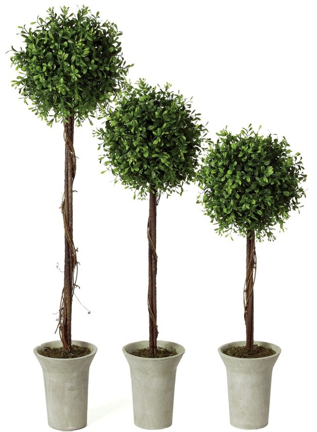 Sullivans Artificial Set Of 3 Boxwood Topiary Tree 22