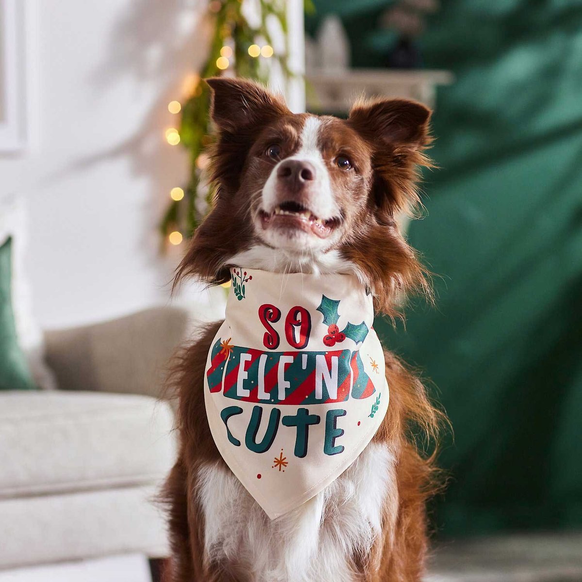 Frisco So Elf'n Cute Dog and Cat Bandana