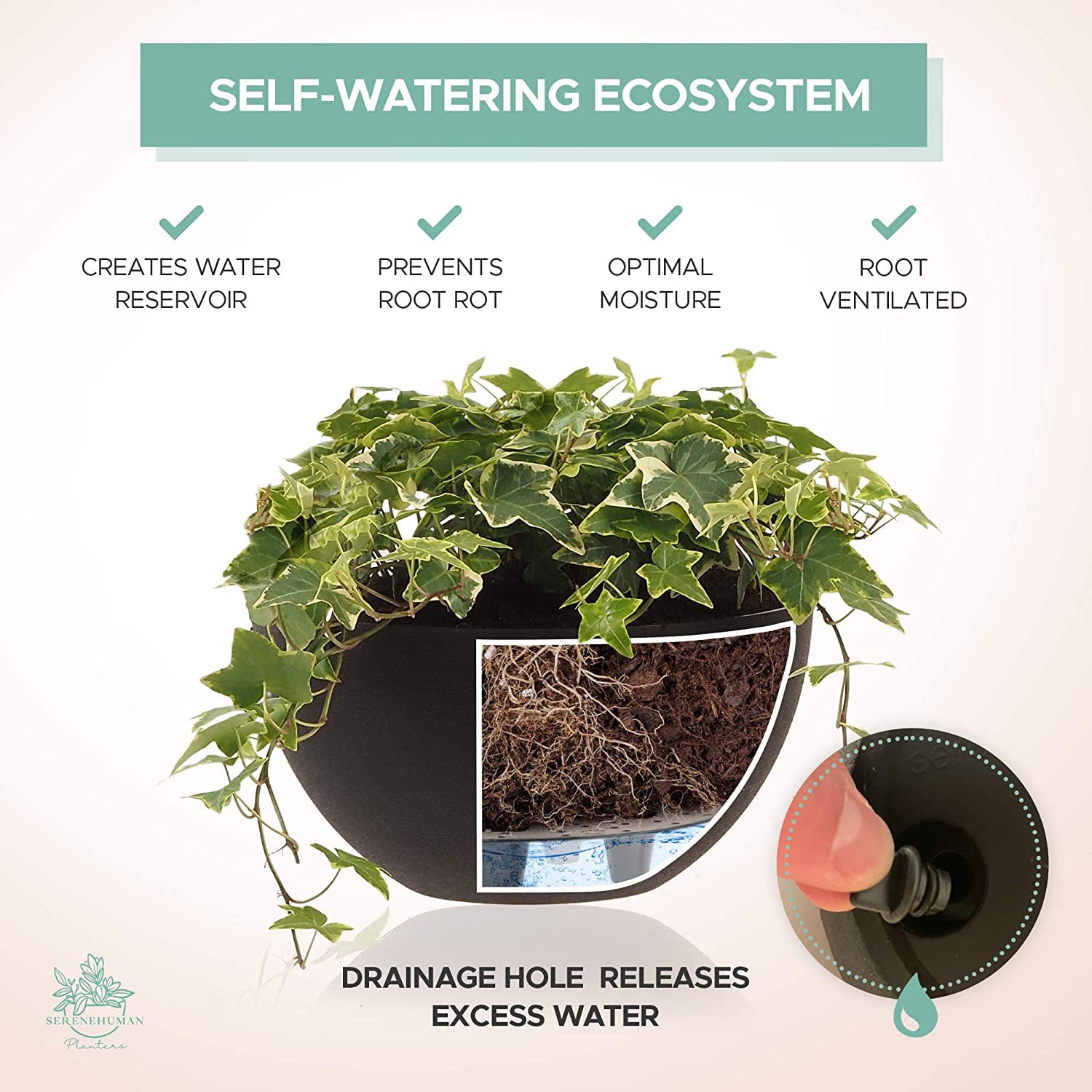 2X Self Watering Hanging Planters (10