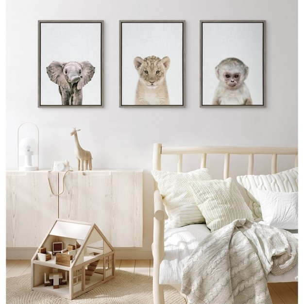 X 24 quot Sylvie Baby Lion Color Framed Canvas By Simon Te Of Tai Prints Gray Kate amp Laurel All Things Decor