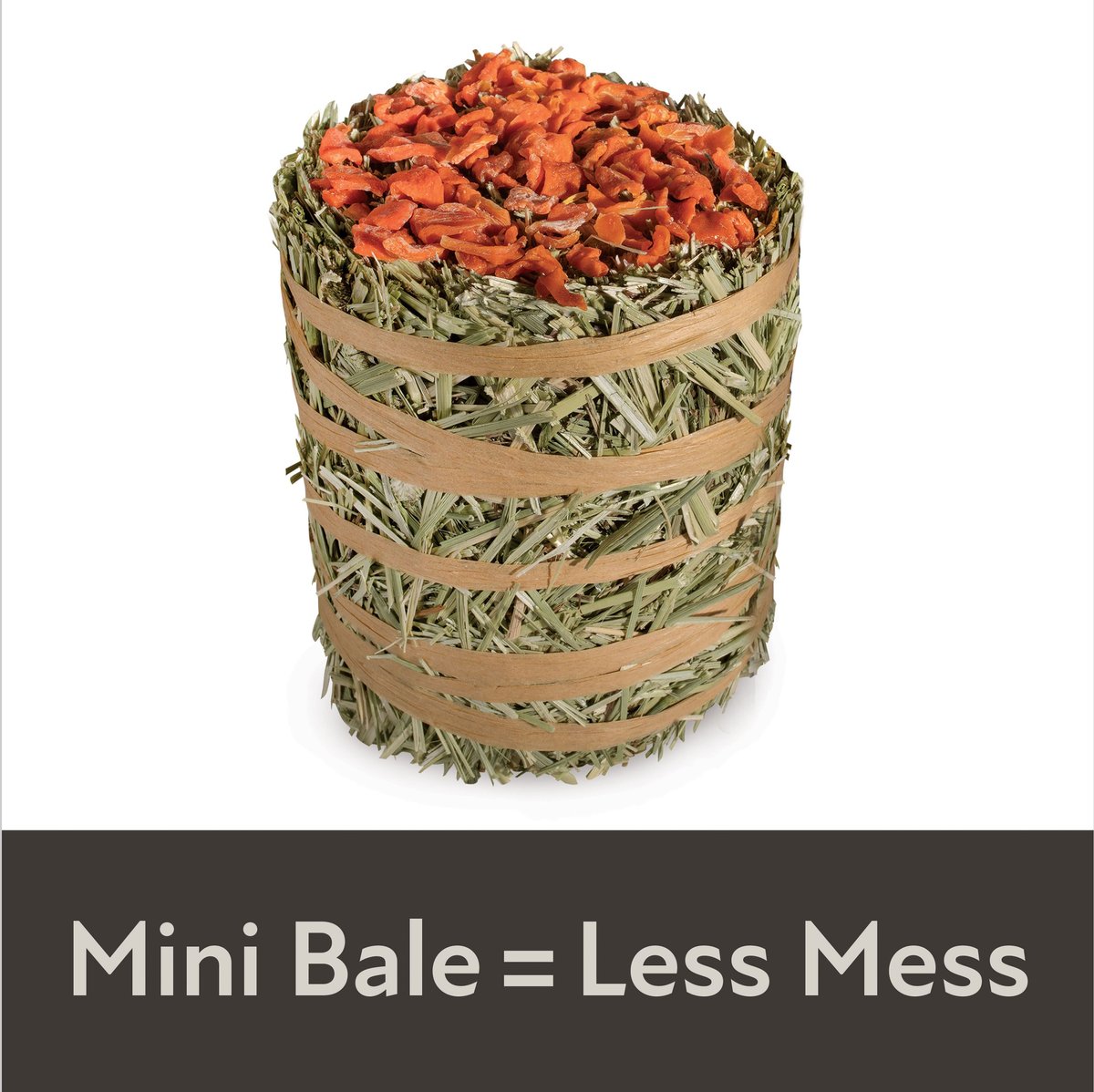 Field+Forest by Kaytee Mini Hay Bale Carrot Small Pet Hay， 3.5-oz bag