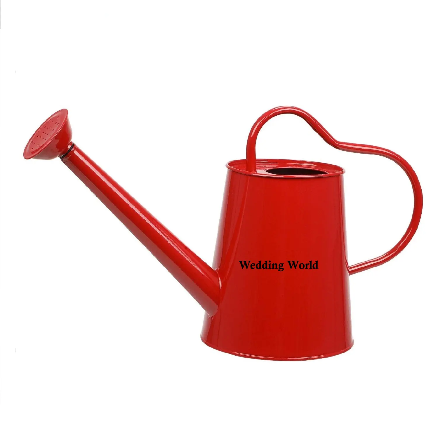 Small Galvanized Water Can Best Selling Garden Ware Wholesale Luxury Can Best Selling Decorative Designer Iron Water Cane