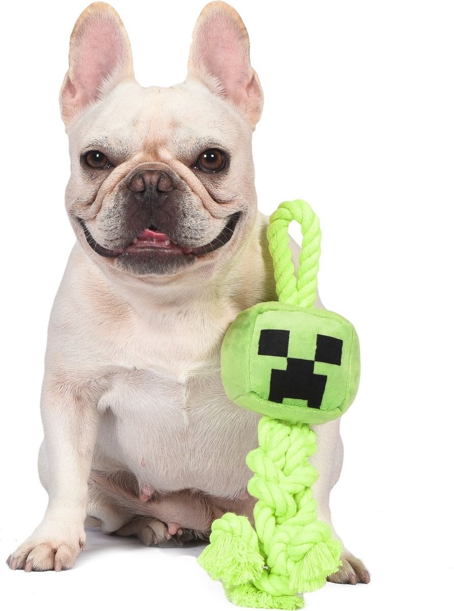 Fetch For Pets Minecraft Creeper Rope Squeaky Dog Toy