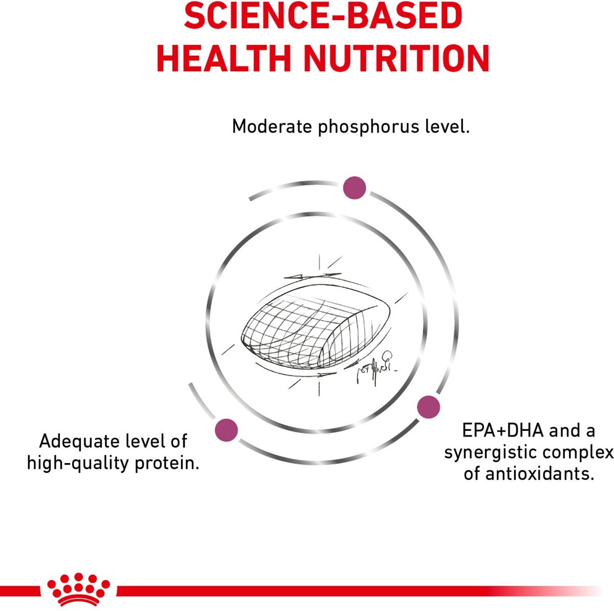 Royal Canin Veterinary Diet Renal Support Early Consult Dry Dog Food