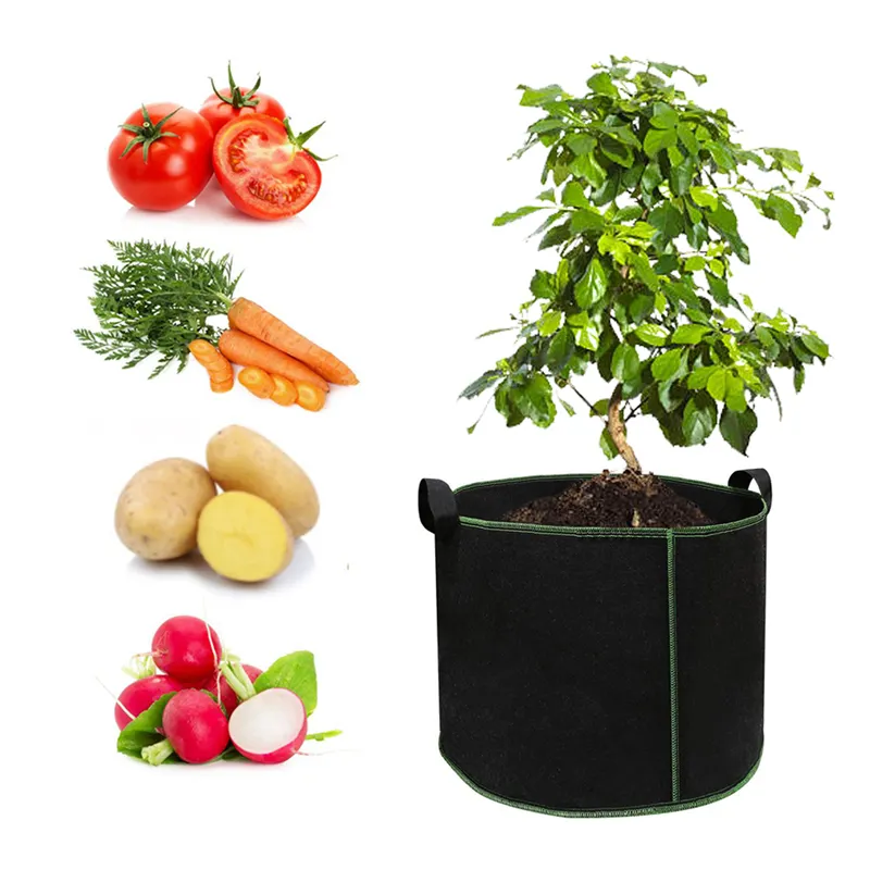 High quality Wholesale permeable breathable plant 5 gallon felt garden bag for garden home vegetable farms grow bags Vietnam