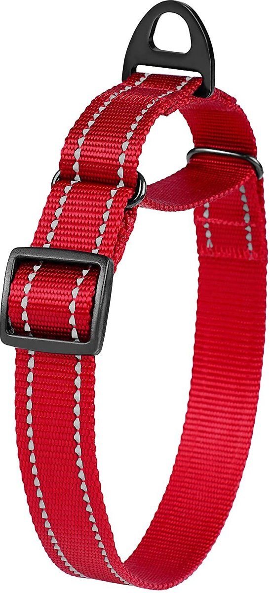 CollarDirect Reflective Martingale Nylon Dog Collar