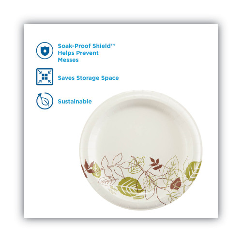 Dixie Pathways Soak-Proof Shield Mediumweight Paper Plates， WiseSize， 8.5