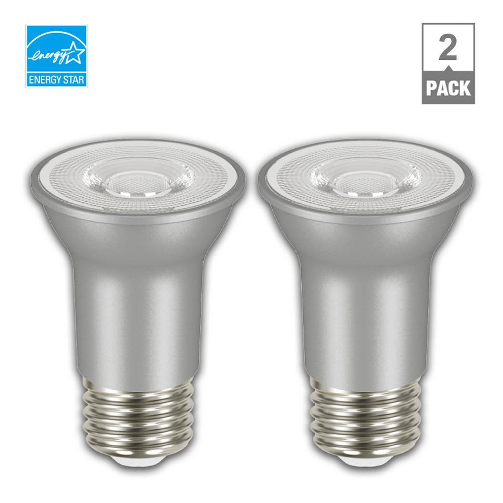 EcoSmart 60-Watt Equivalent PAR16 Dimmable Flood LED Light Bulb Bright White (2-Pack) A20PR1660WESD32