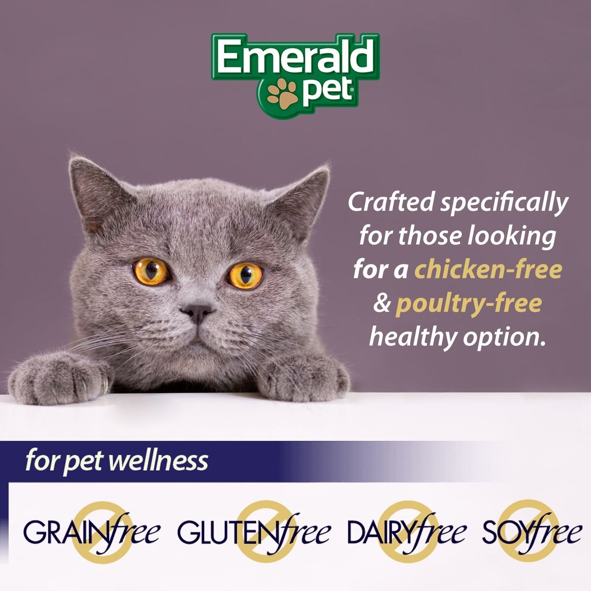 Emerald Pet Wholly Fish! Digestive Health Salmon Recipe Cat Treats