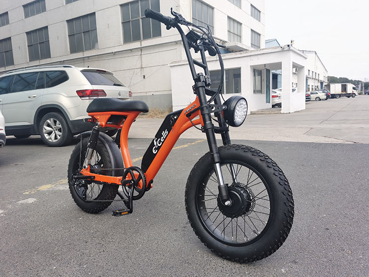 Hot Sale Ready to Ship Emtb 1000W Electric Bike Fat Tire Electric Cycle For Adult