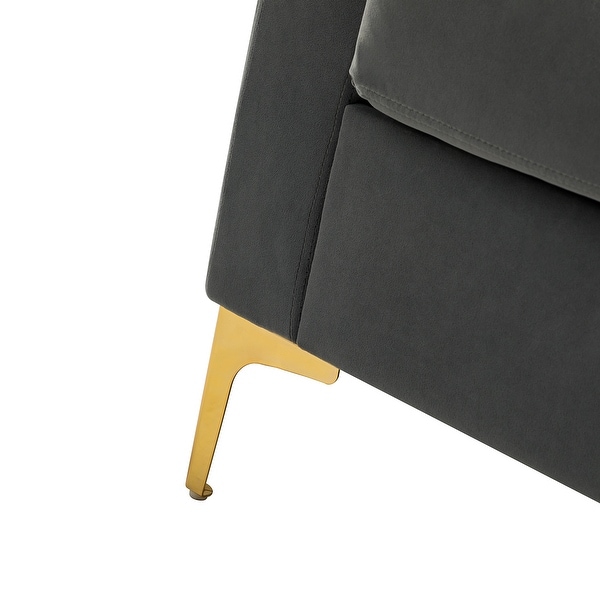 Ganymedes Contemporary Velvet Accent Arm Chair with Golden Legs Set Of 2 by HULALA HOME