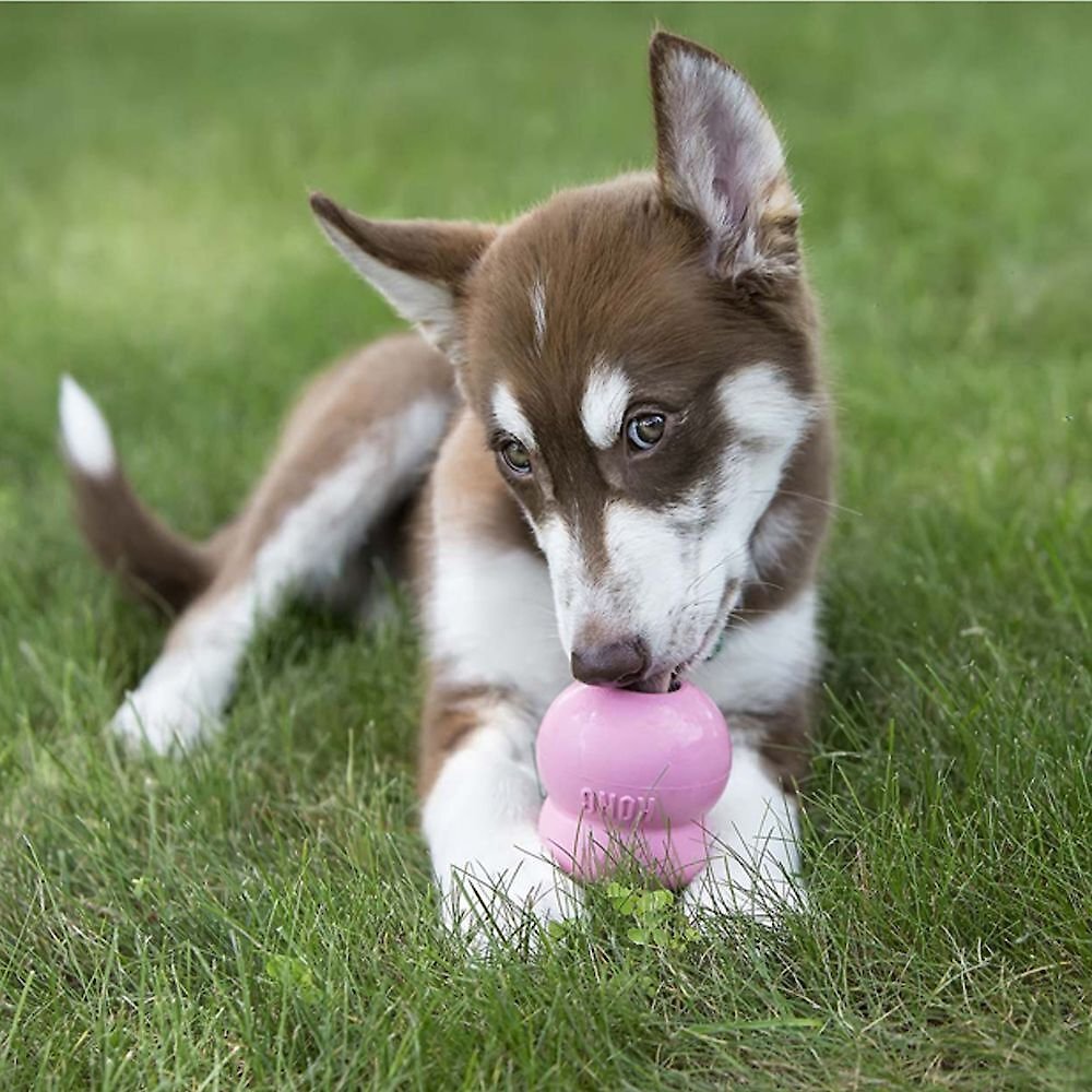 KONG Stuff'N Easy Treat Puppy Recipe