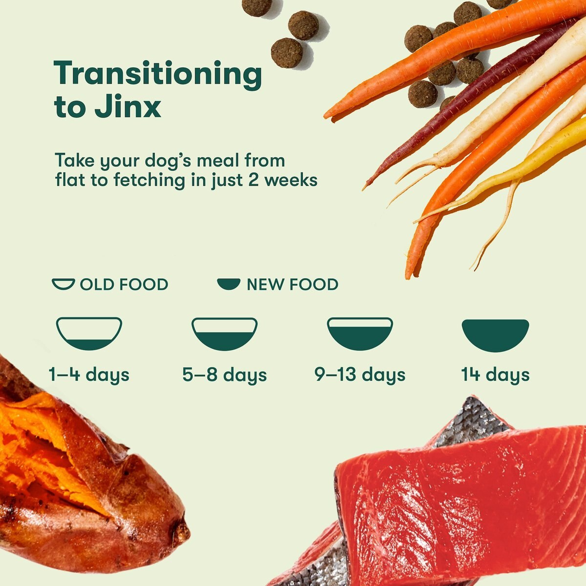 Jinx Salmon， Sweet Potato， Carrot Grain-Free Kibble Dry Dog Food， 11.5-lb bag