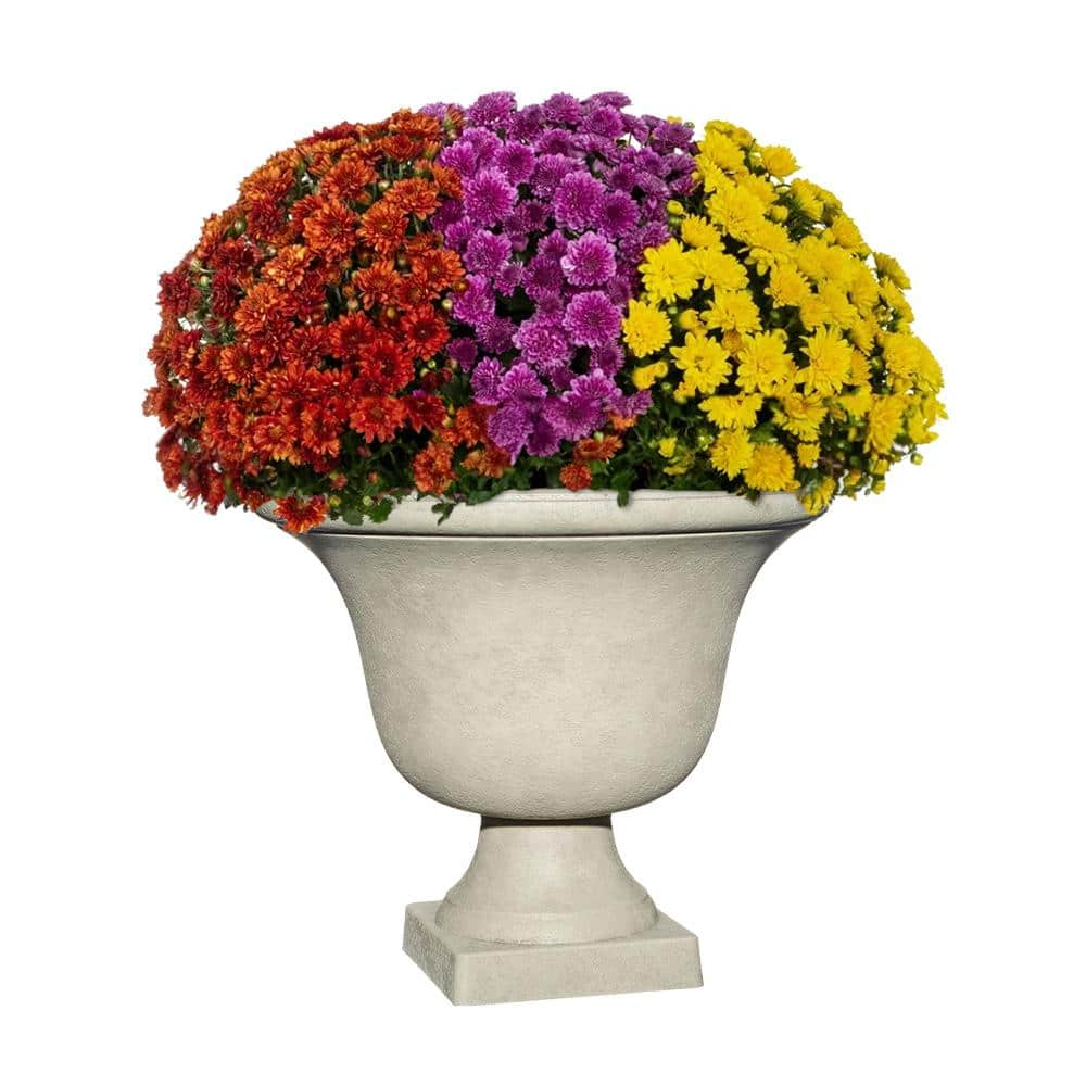 Vigoro 17.8 in. Elise Large White Textured Resin Urn Planter (17.8 in. D x 15 in. H) with Drainage Hole HD1436-598R