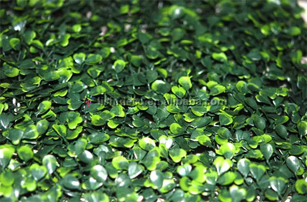 Factory supply artificial boxwood hedge mat