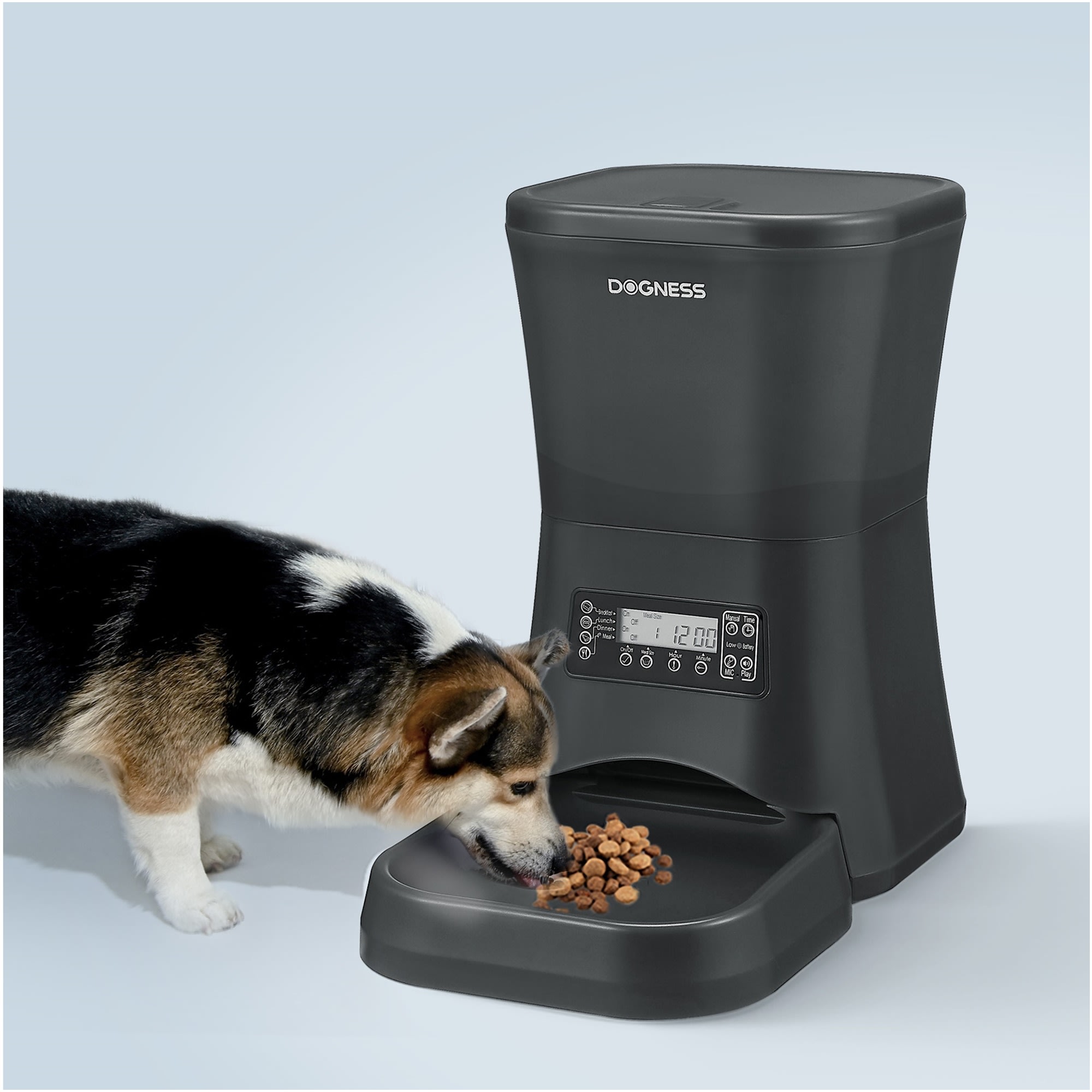 DOGNESS Black Everyday Automatic Feeder for Dogs， 7 Liters