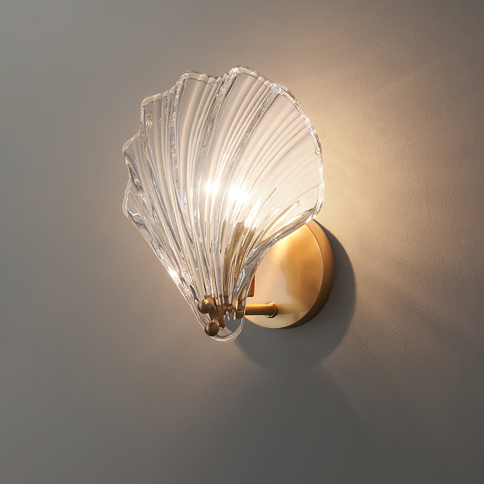 Shell Wall Light