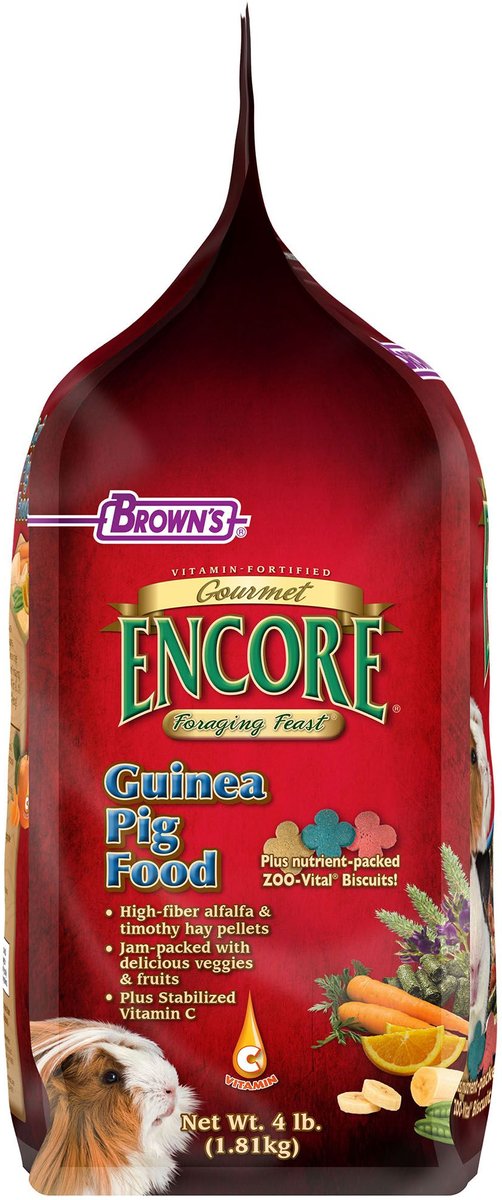 Brown's Encore Gourmet Foraging Feast Guinea Pig Food