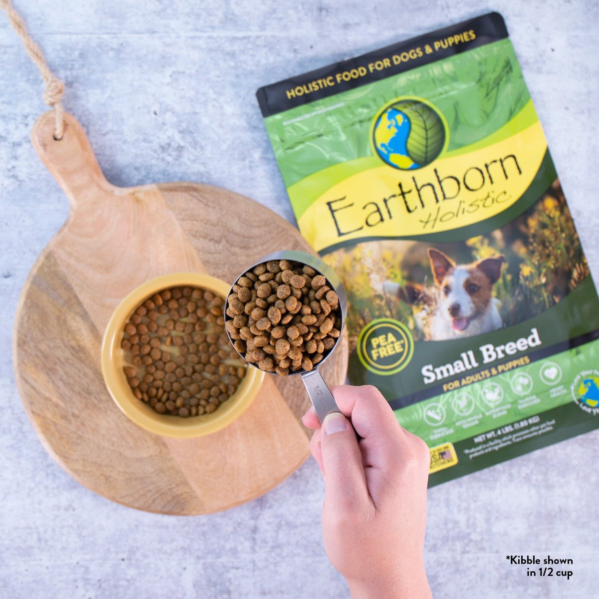 Earthborn Holistic Small Breed Dry Dog Food