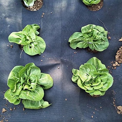 Agfabric Landscape Easy-Plant Weed Block Mulch,Weed Barrier Fabric with Planting Hole, Outdoor Garden Weed Rugs,Garden mat for rasied Bed,3.0oz,Black,4x4ft