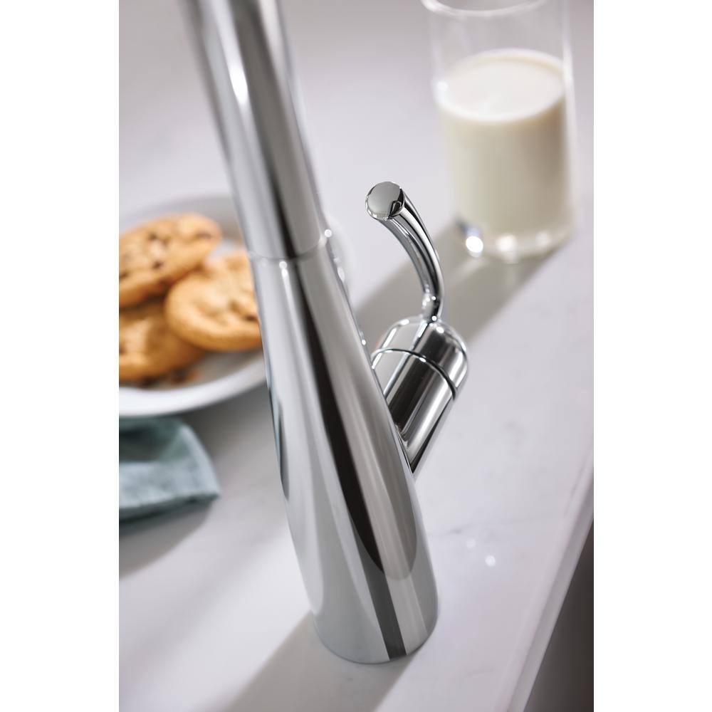 MOEN Essie Single-Handle Pull-Down Sprayer Kitchen Faucet with Reflex and Power Clean in Chrome 87014