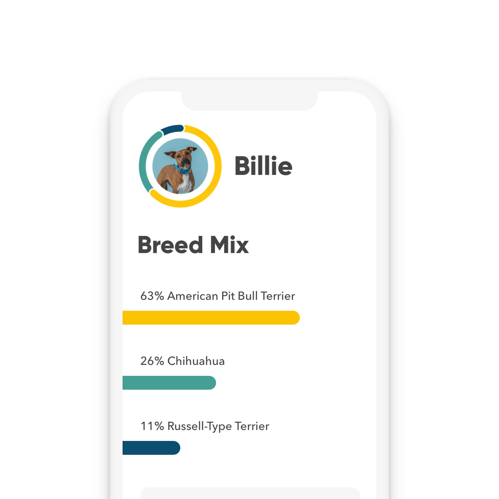 EMBARK VET Breed amp; Health Dog DNA Test