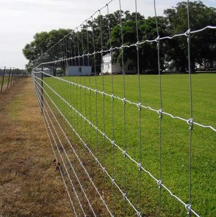 cattle/sheep/farm/field/deer wire mesh fence galvanized grassland fence Fixed nodule fence