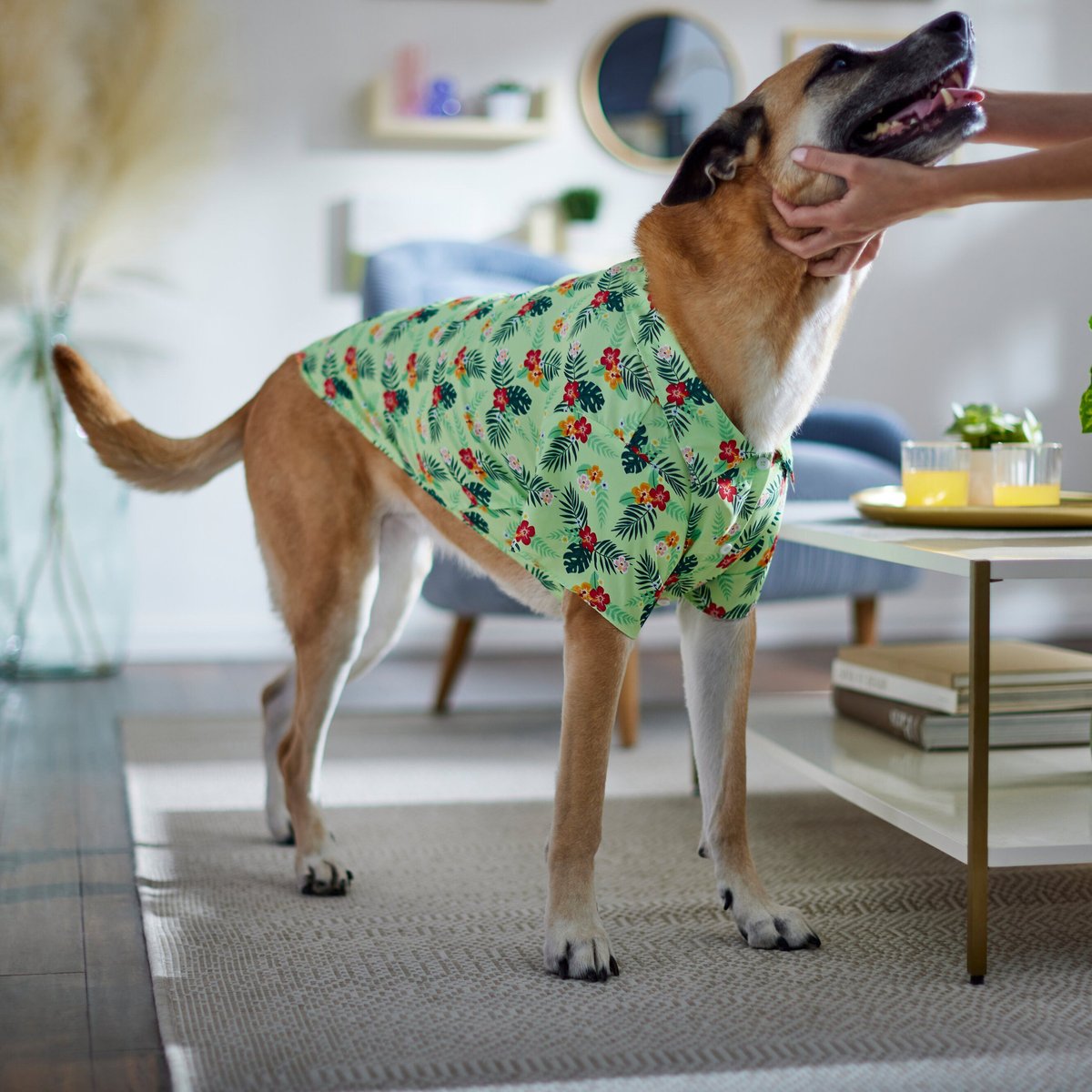 Frisco Hawaiian Floral Camp Dog and Cat Shirt