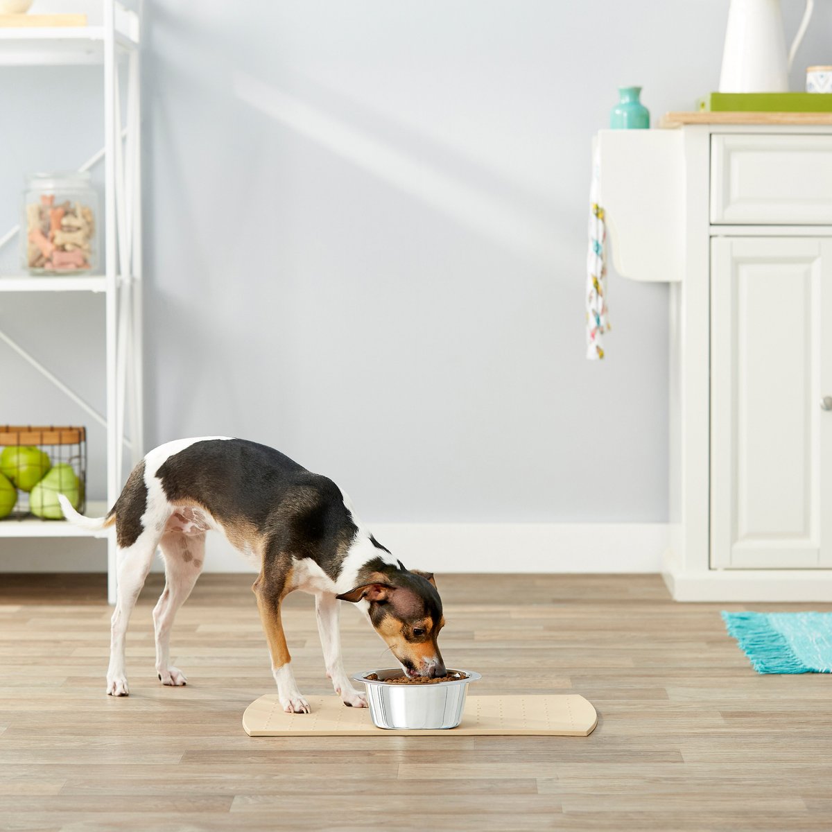 Frisco Stainless Steel Dog and Cat Bowl