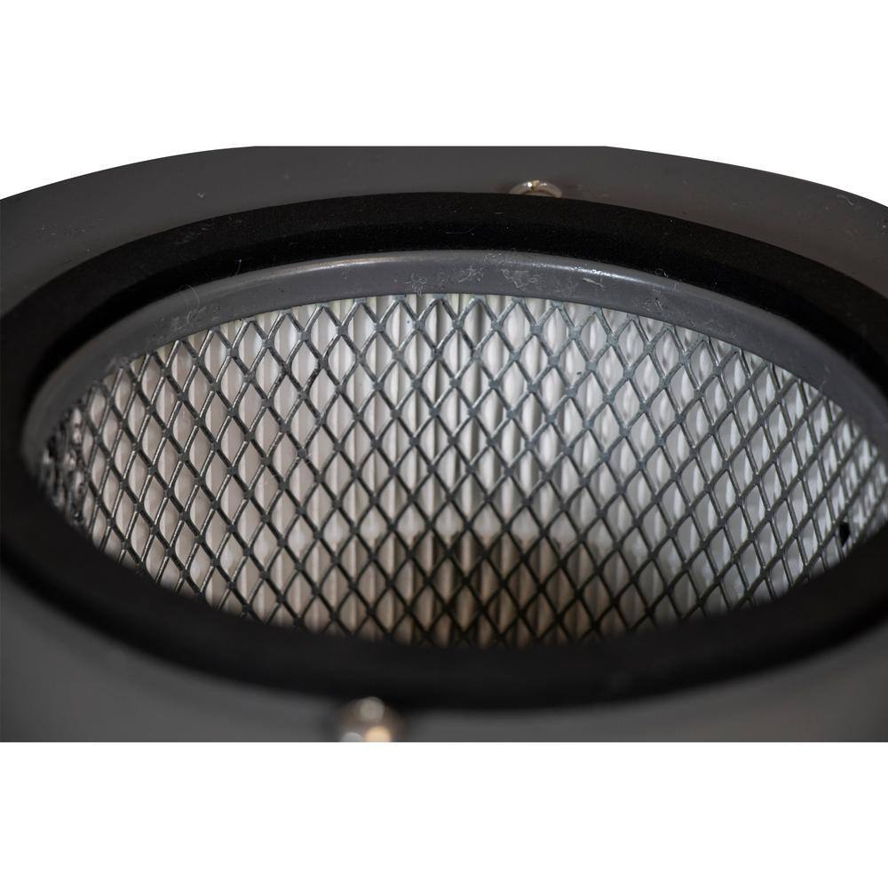 FILTER-MONSTER Replacement Filter Compatible with Austin Air Allergy Machine Junior (HM205) with Pre-Filter AA-FM250-A