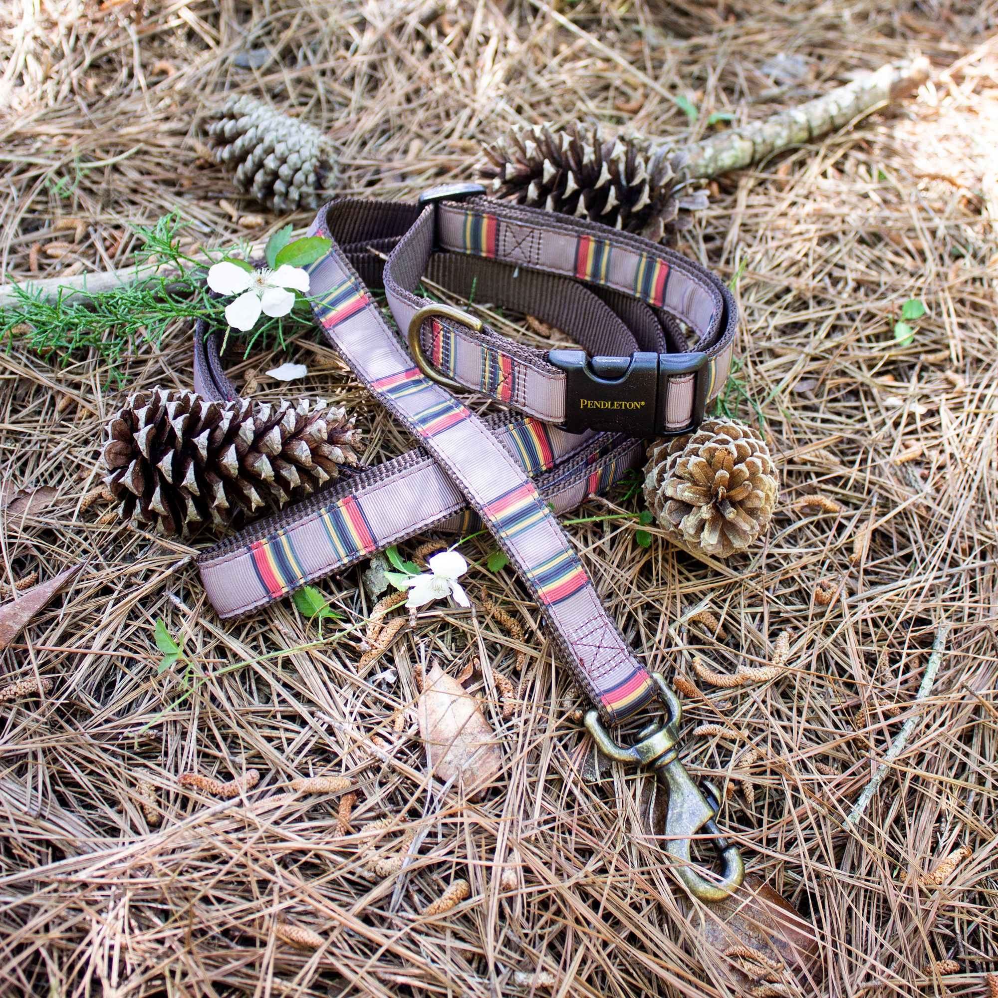 Pendleton Vintage Camp Collar | Mineral Umber