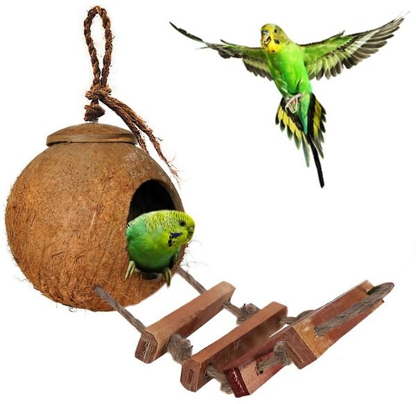 SunGrow Coconut Shell Nest and Window Feeder with Ladder Perch Cage Accessory and Hanging Parakeet， Finch and Budgie Bird House