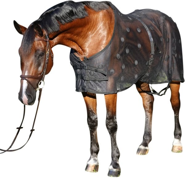 Benefab Rejuvenate Horse SmartScrim