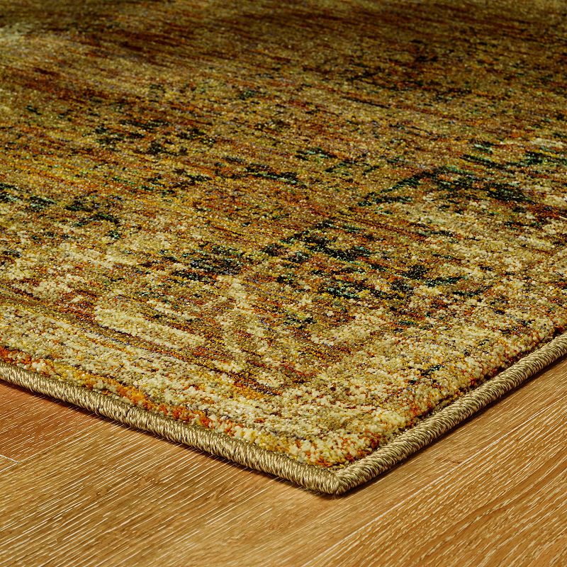 StyleHaven Alexander Faded Classic Framed Floral Rug