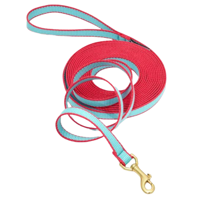 Training Leash | Aqua & Coral