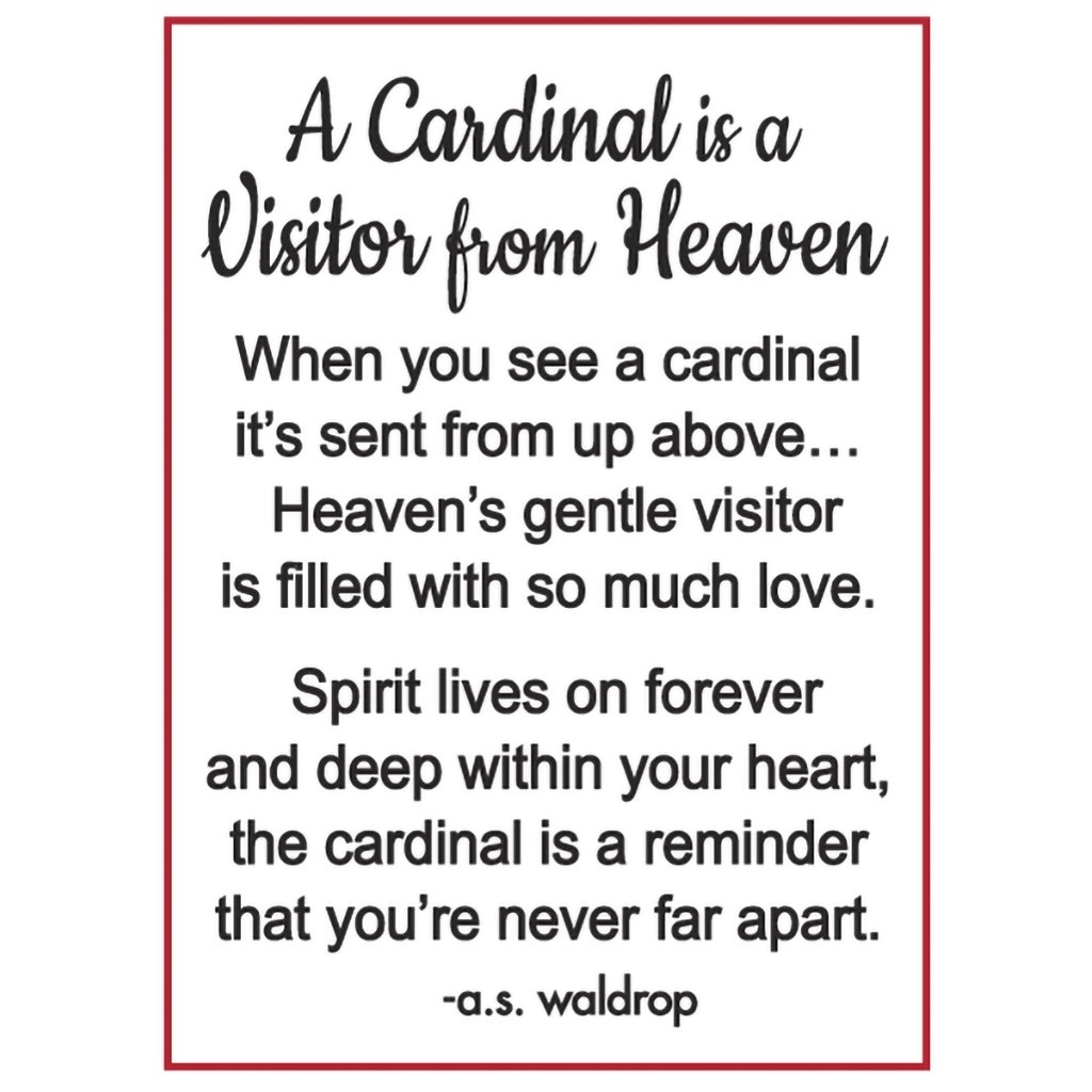 Ganz  A Cardinal is a Visitor from Heaven Charm - Assorted 1 at random. Style can not be chosen