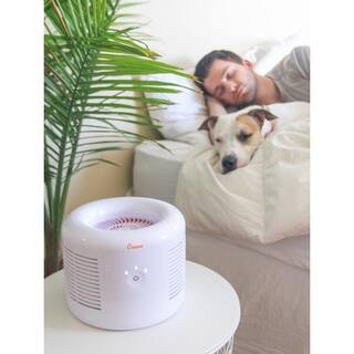 Crane HEPA Air Purifier with 3 Speed Settings for Small to Medium Rooms up to 300 sq.ft. EE-7002AIR