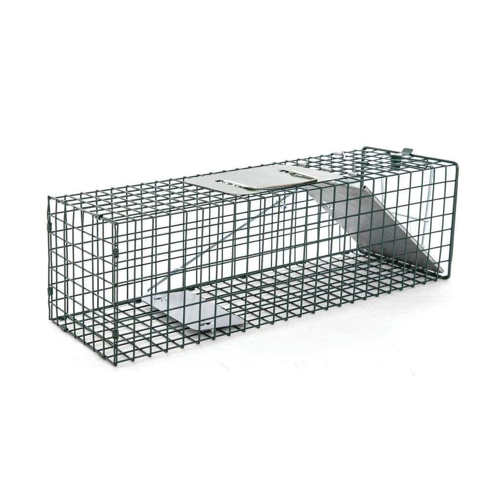HOMESTEAD Small 1-Door Professional Humane Steel Live Animal Cage Trap for Squirrels Rabbits Chipmunks Skunks Rats and Weasels 410-344-0111