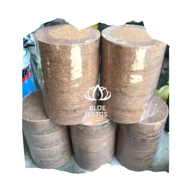 Top Grade Cheap Price Peat Moss Coconut Coir Pellets Seedling Soil Block 5kg Coco Peat From Viet Nam Garden Plants