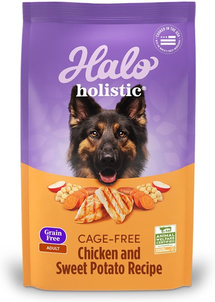 Halo Holistic Complete Digestive Health Grain-Free Chicken and Sweet Potato Dog Food Recipe Adult Dry Dog Food