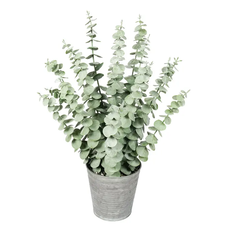 Home Decoration Simulation Plastic Zamioculcas Zamiifolia Wholesale Tunisia Ornamental Hight Artificial Money Leaf Plant