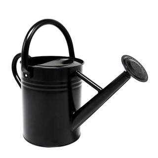 Dyiom 1 Gal. Black Metal Plant Watering Can with Handles Galvanized Steel Watering Pot B09GVGFDKH