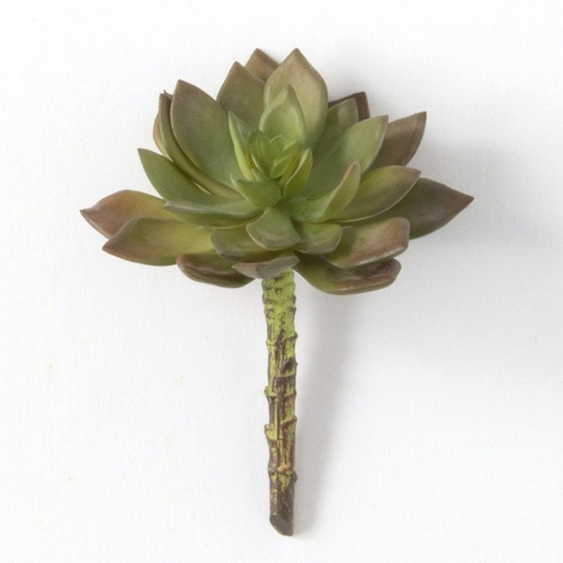 Sullivans Artificial Echeveria Succulent Pick 5.5